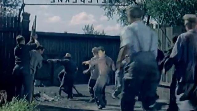 Незаменимый (1967): смотреть онлайн выпуск киножурнала Фитиль