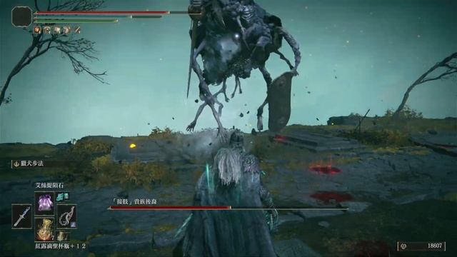 Elden Ring 艾爾登法環 | Grafted Scion (new game plus) смотреть онлайн