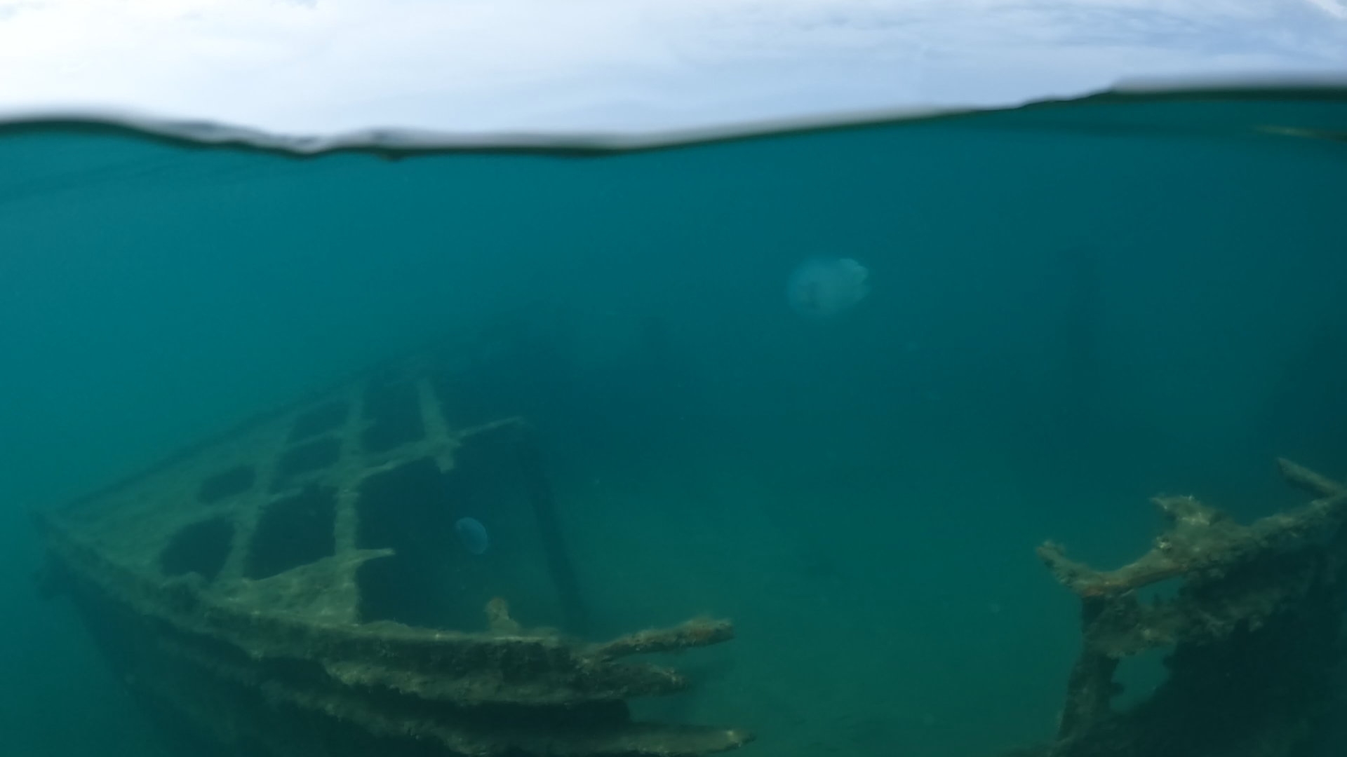 Веселовка 2024