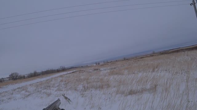 Охота на зайца - Что-то про верёвочку ;) смотреть онлайн