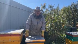 ГОТОВИМ ПЧЁЛ В ЗИМУ.