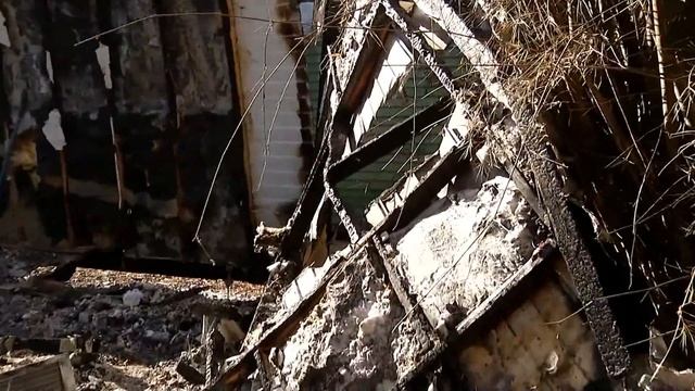 Rare White Alligator Stolen, 43 Gators Killed In Burglary, Arson At Florida Sanctuary смотреть онлайн