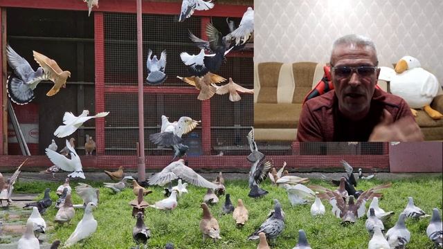 Прямой эфир смотреть онлайн