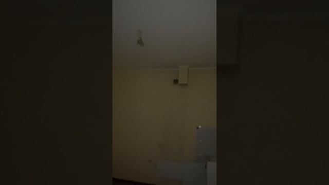 Обзор окон в приямках. Москва, Большой Тишинский пер., 40с1 смотреть онлайн