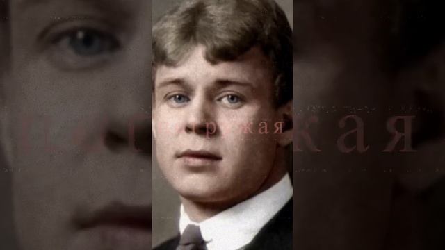 ЕСЕНИН С.А.-КАКАЯ НОЧЬ! Я НЕ МОГУ...♡https://t.me/animadom #стихи #поэзия #люди #литература #история смотреть онлайн