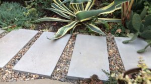 ПЕРЕДЕЛКИ И НОВЫЕ РАСТЕНИЯ В САДУ. Начало осенних работ