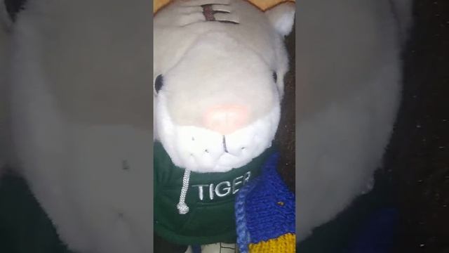 топ 14 самых высоких животных смотреть онлайн