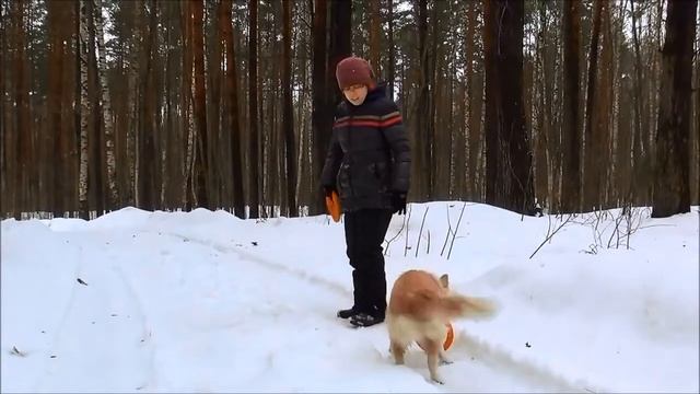 2 Прогулка с Доглайк смотреть онлайн
