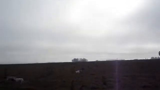 cazando en azul Parte 1 смотреть онлайн