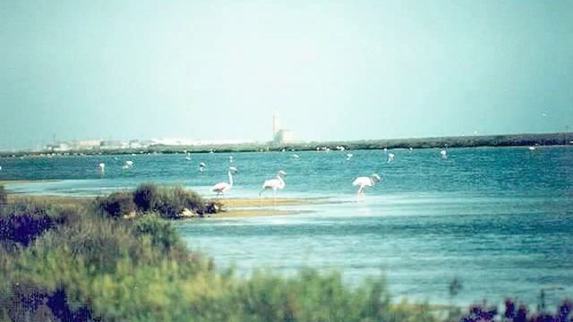 Cabo de Gata.wmv смотреть онлайн