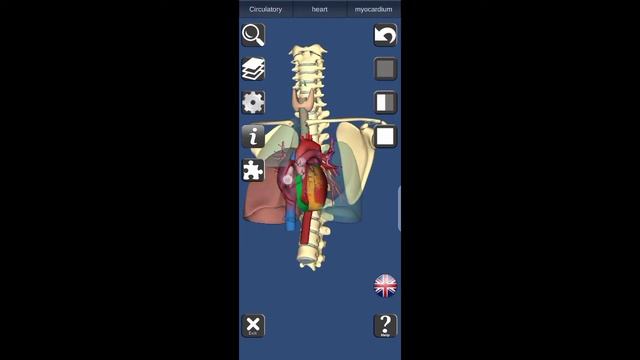 Best 3D Human Anatomy Urdu/Hindi смотреть онлайн