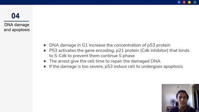 Group 14 Cell Death Presentation Video смотреть онлайн