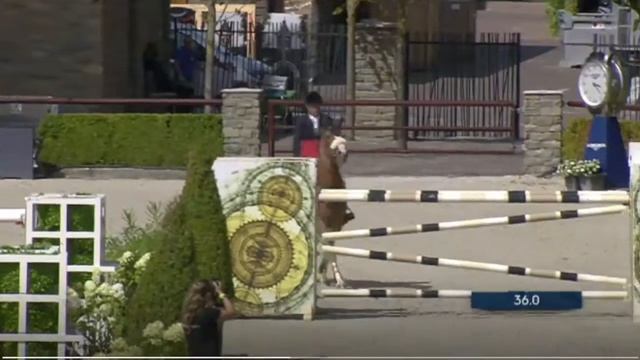 FAPE Hermes by Vigo x Equitop du Moyon (2007) @ CSI5* Valkenswaard 12/08/18 смотреть онлайн