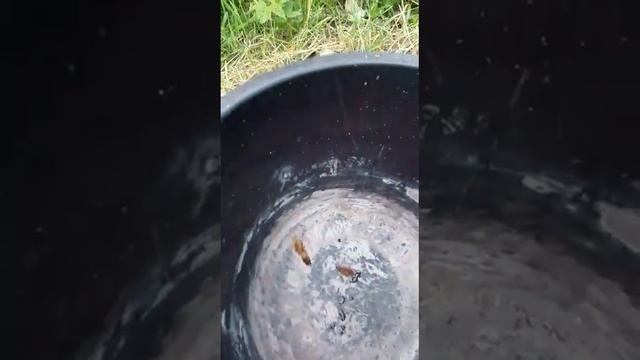 Поймал монстра смотреть онлайн