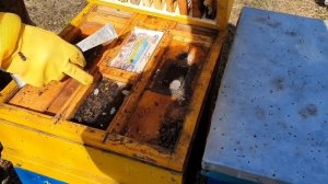 ИЗ СЛАБОЙ СЕМЬИ ДЕЛАЕМ МОЩЬНУЮ