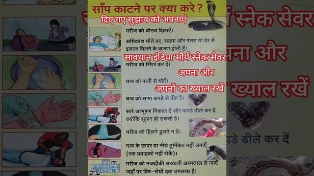#Indiancommonkrait #brave_man #King_Cobra Katne Par Kya Kare Kya Na Kare Puri Jankari Rahe Savdhan