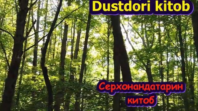 ҲАТМАН ГӮШ КУНЕД! "Фикр кунеду сарватманд шавед". Қ. 2 (Н. Ҳилл ) смотреть онлайн