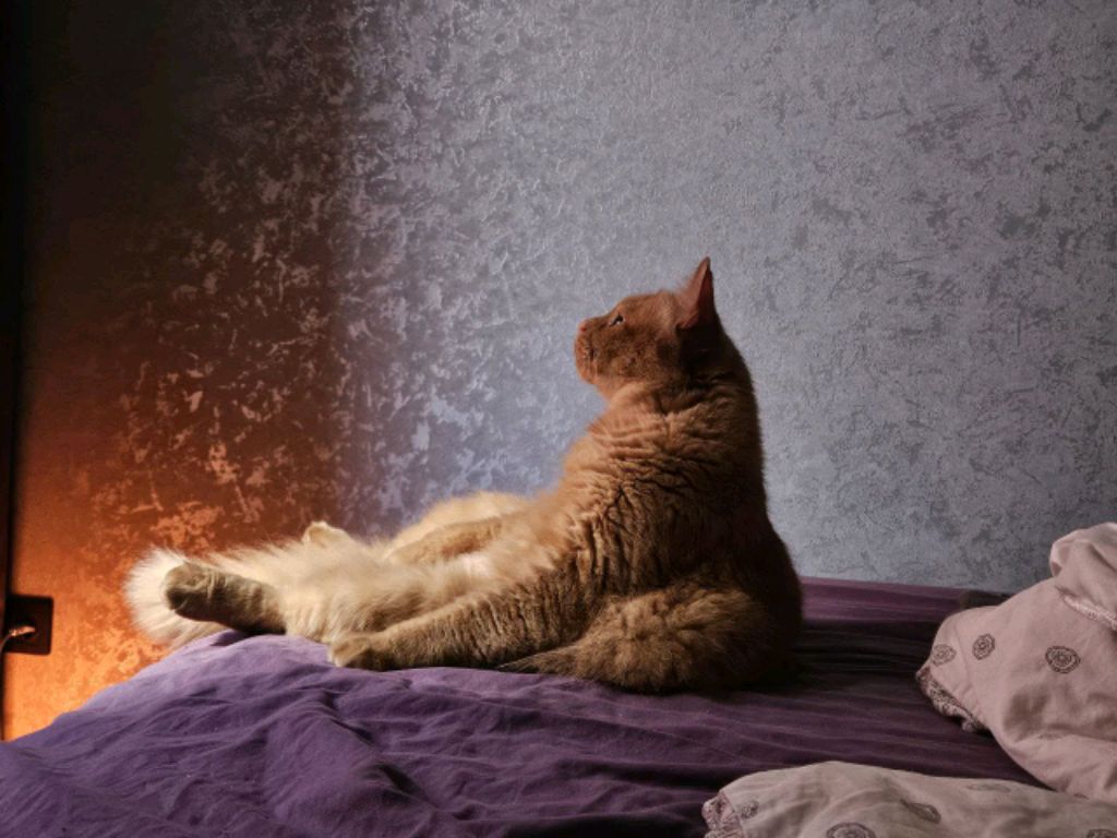 делаем наклейки