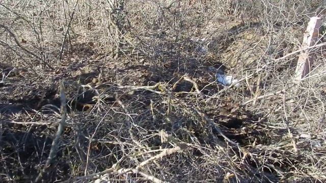 Копаю траншею под кабель. Экскаватор ЭО-2621. Часть 1. Первые трудности. смотреть онлайн