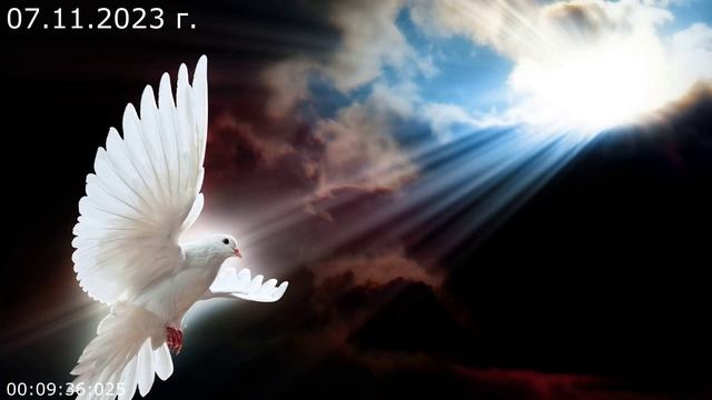 808 О смерти 07.11.2023 г смотреть онлайн