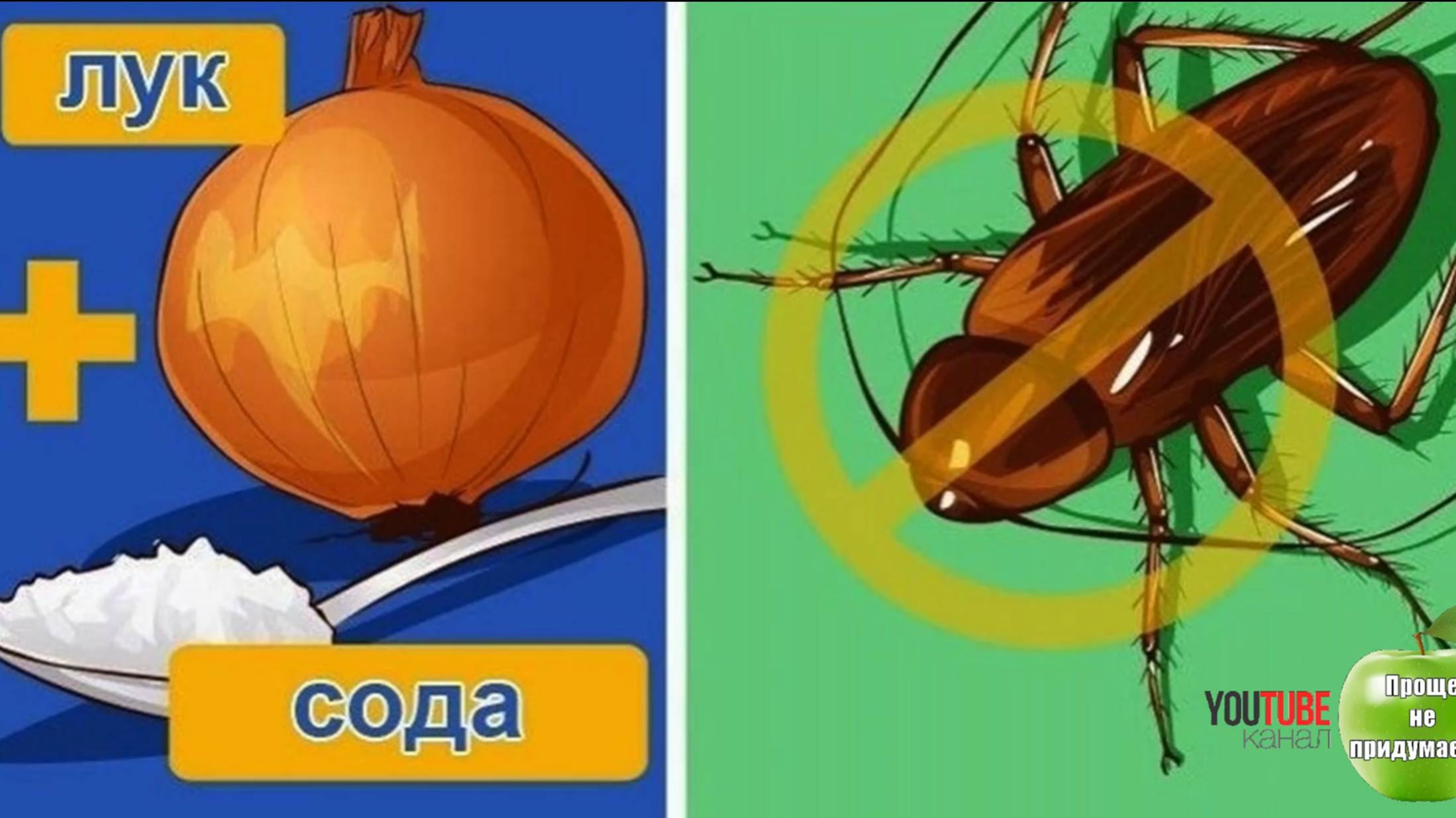 ТАРАКАНОВ В ДОМЕ БОЛЬШЕ НЕ БУДЕТ! смотреть онлайн