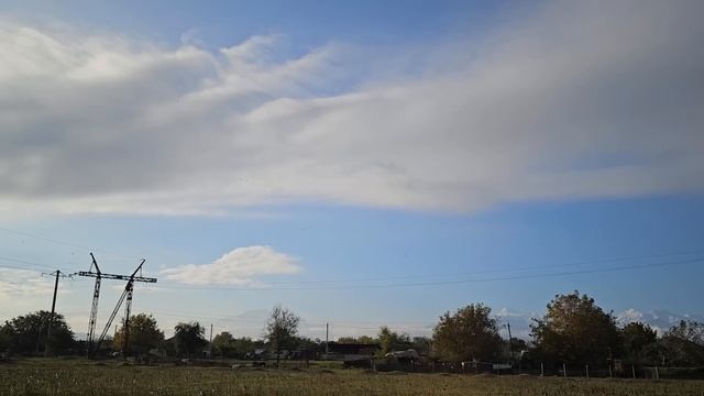 Всё дело в отношении к голубям смотреть онлайн