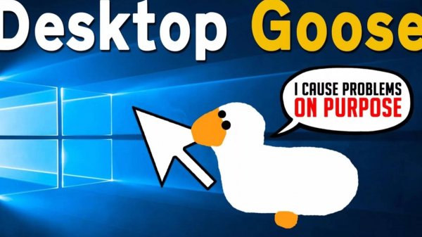 Обзор программы "Goose desktop" ﹥﹥ шаловливый гусь