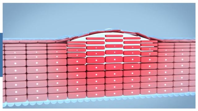 Bioderma. Уход за сухой кожей. смотреть онлайн