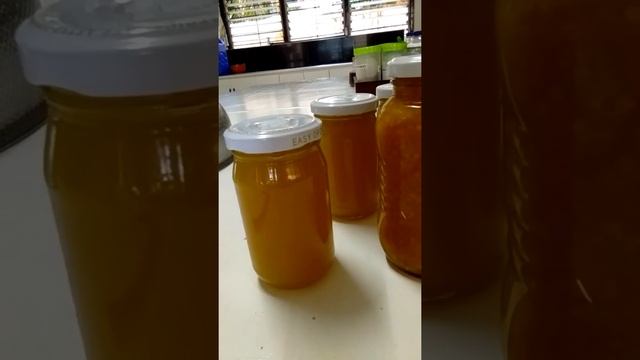 Sugar Concentration/ Food Processing смотреть онлайн
