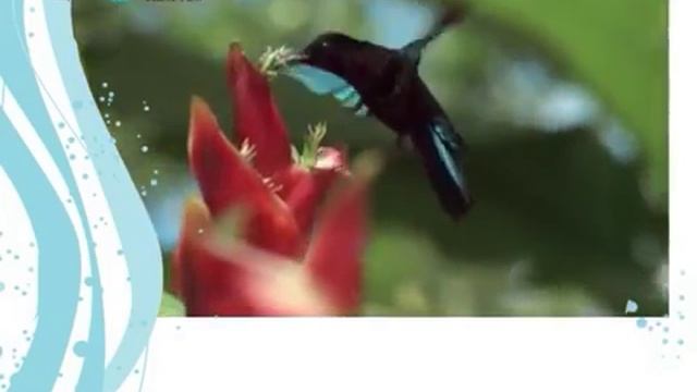 Золотые искры смотреть онлайн