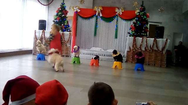 Символ года 2018 собака смотреть онлайн