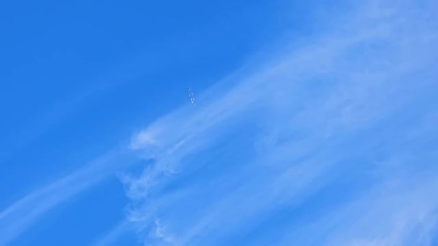 Что так повлияло на голубей сели не все смотреть онлайн