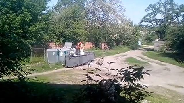 Барни смотрит в окно