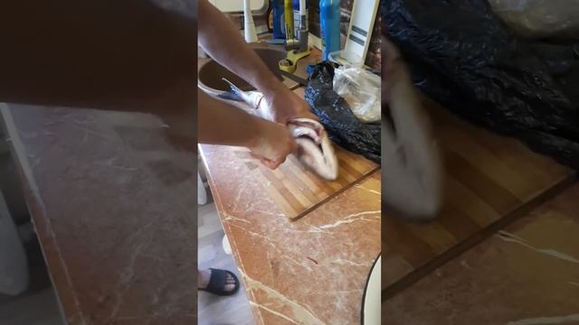 Австралийский лосось не лосось смотреть онлайн