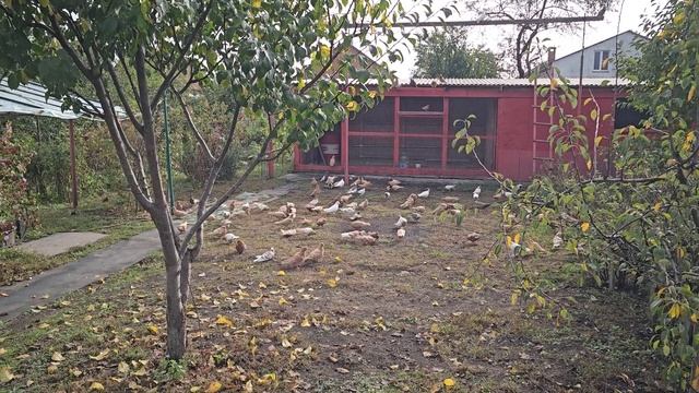 Молодёжь знакомство с улицей и охрана смотреть онлайн