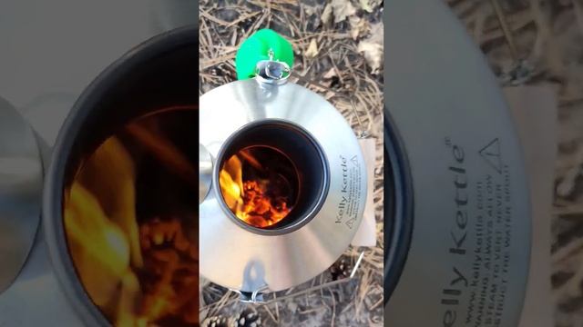 Лесной коп. Самовар