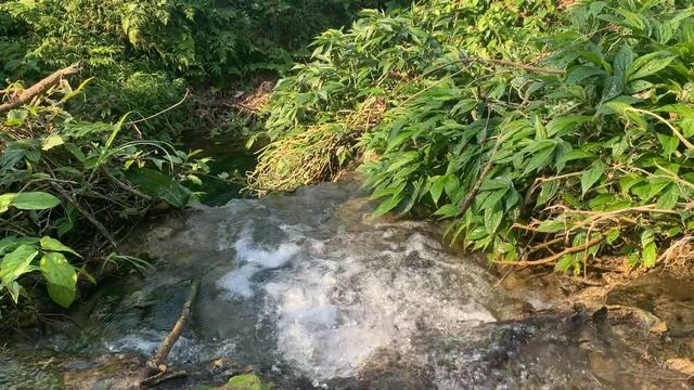 Sonidos De La Naturaleza, Sonidos De Buenas Noches - Sonido Oficial De BEA смотреть онлайн