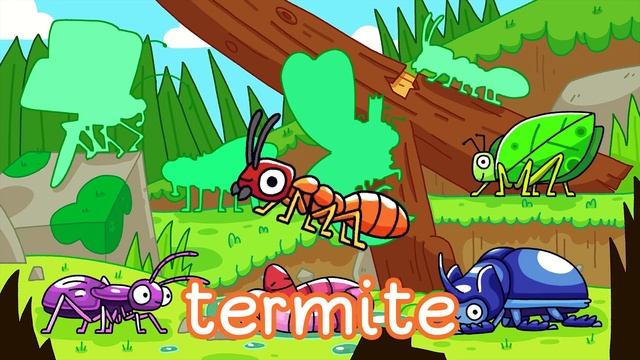 Learn Insects And Bugs For Kids | Animals For Kids | Club Baboo