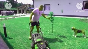 Шерлок Батя Учимся плавать Effects