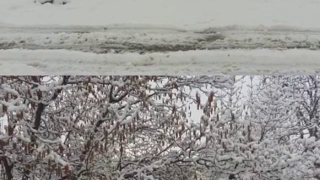 Дорога смотреть онлайн