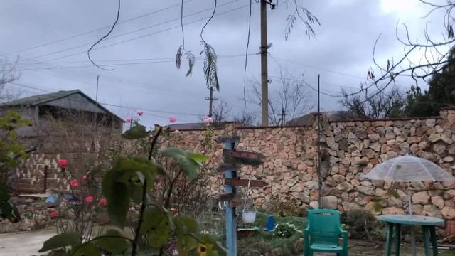 8 ноября 2021 г.В Крыму холодает.+15,но холодный ветер...Но,мне это не мешает творить. смотреть онлайн