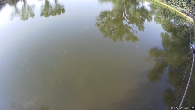POST STORM Fishing - What Works?? смотреть онлайн