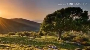 гр Чехра  Кодирчон Баротбоев - Дадожонам