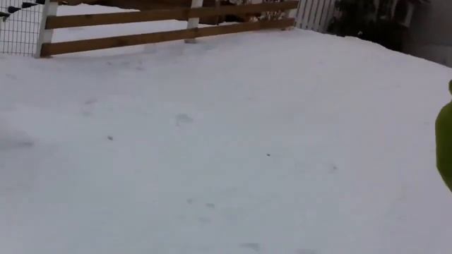 Arselkana med Truls смотреть онлайн