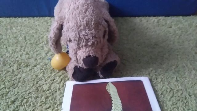 школа собак 2 день вт (2 сентября) смотреть онлайн