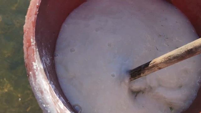 Дезинфекция пруда перед зимой! Вношу в пруд негашеную известь. смотреть онлайн