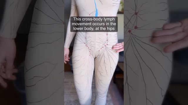 How lymph moves across your body смотреть онлайн