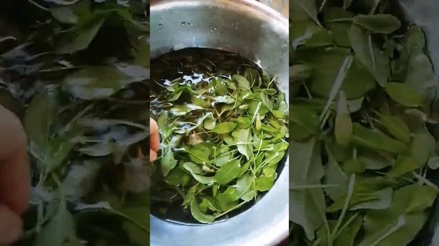 зеленые щи с перепелочкой смотреть онлайн