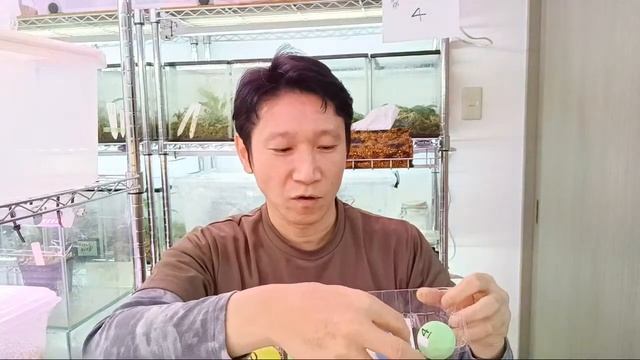 大阪BB8th ブセ抽選 смотреть онлайн
