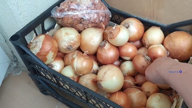 Муж приготовил завтрак/опять стащил пакет 😁/пересаживаю рассаду/расстроилась до слёз 😢 смотреть онлайн